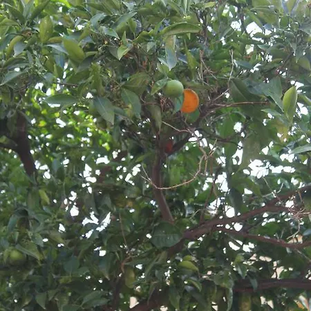 Red Orange Ognina Apartman *