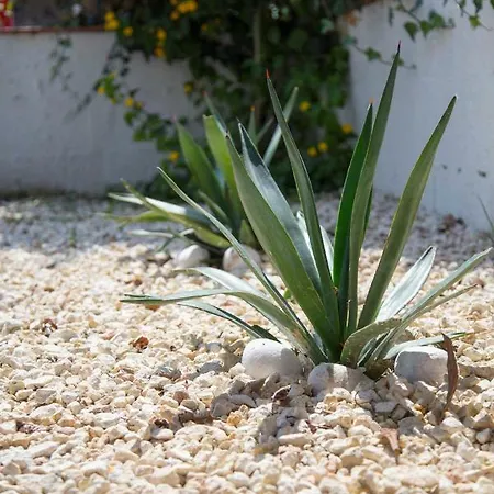 Red Orange Ognina Apartman Catania